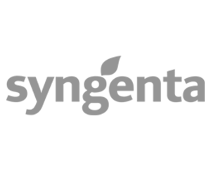 syngenta syngenta
